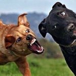 [워너원] <b>초인종</b>누르고 나야나 열어줘 부를듯