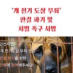 [서명해주세요]  '개 전기 도살 무죄' 판결 파기 및 처벌 촉구...