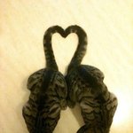 [임영민] 영민시(<b>feat</b>.동동)