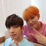 [세븐틴] 좋은 꿈 꾸래
