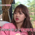 [댓글부탁해] 최유정 소심한거 컨셉이였음?