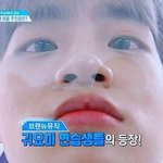 [워너원] 얘들아 팬싸가면 이럼?
