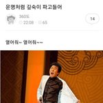 [워너원] 그냥 벽반 다시하먄안되냐