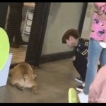 [워너원] 댕댕이랑 친해<b>지고</b>싶지만 무서운 지녕이,,