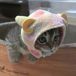 [EXO] 안냥!<b>루루</b>