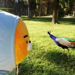 오케이크에서 <b>케익</b> 먹어본 사람