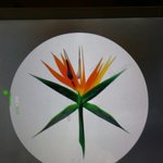 [EXO] 초동이랑 <b>총판</b>이같을수잇어?