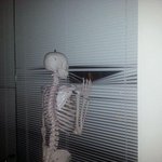<b>야자</b>살면서 한번도 안해본 나같은애있나