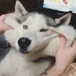 [댓글부탁해] 나 무슨 톤이야?