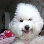 [댓글부탁해] ㅋㅋㅋㅋㅋ<b>버정</b>인데 남자 ㅈㄴ귀여워