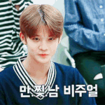 [워너원] ㅅㄷ 나 갤보고왔는데