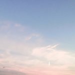 [세븐틴] ㅅㄷ 방금 <b>하늘</b> 로세 !!