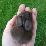 [조언부탁해] 얘들아 내 <b>이빨</b>좀 봐줘ㅠㅠㅠ