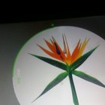 [EXO] 난아직까지 주말에 한시간떨어진거때문에 아쉬움 ..
