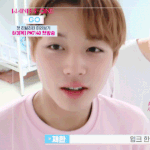 [워너원] 얘들아 ㅂㅁㄱ <b>위에</b> 댓달지 말장