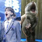 [워너원] <b>수달</b>휘ㅋㅋㅋㅋㅋ