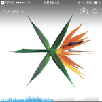 [EXO] 너네 포카 포스터 교환함?