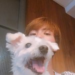 [방탄소년단] 우리가 서양쪽 <b>해외팬덤</b>이 꽤 쎈건 맞는데