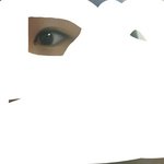 [드루와] 내 눈이 너무 못생겼는데..