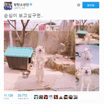 [방탄소년단] 순심언냐는 뭐할까