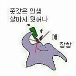 나<b>돌출</b>눈인데 너무스트레스야