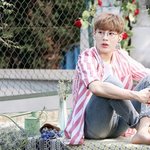 [워너원] 이로써 와가 <b>발캡쳐</b> 증명됐다