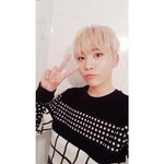 [세븐틴] 캐러시들~들어와봐!