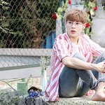 [워너원] 와엠씨 해명해