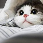 [여자의심리] 남자친구가 <b>여유증</b>이라면?