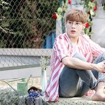 [워너원] 아미친<b>구르미</b>ㅠㅠㅠㅠㅠㅠㅠ
