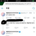 [세븐틴] 권순영 <b>수난</b>시대냐