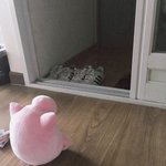 [EXO] 아조씨 언제와요