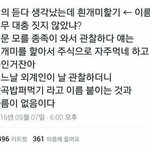 우리 이런 짤 뿌리고 가자ㅋㅋㅋㅋ