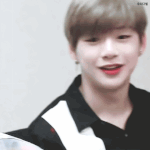 [강다니엘] 하...댕댕이진짜