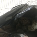 얘들아 나 <b>감자</b>캤땅