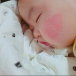 영화스포하는새 <b>끼들</b> 조카싫다