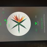 [EXO] 와 나 근데 뫄뫄 투표가 젤 싫었어