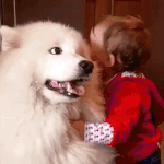 [워너원] 티저를 <b>본</b> <b>후</b> 반응