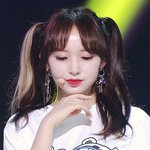 양갈래 얼굴 실화임...?