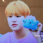 [세븐틴] ㅅㄷ 우리 애깅이들 진심