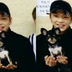 [워너원] 강아지가