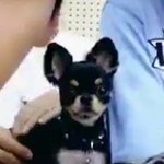 [워너원] 워너원고에 탄이 <b>출연</b> 소취