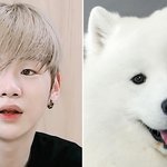 [워너원] 그래 댕댕이가 댕댕이를 무서워할<b>리가</b>