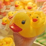 [뉴이스트] <b>여왕</b>의 기사 노래중에 ㅋㅋㅋㅋ