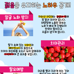 젊음을 유지하며 사는 <b>유용</b>한 팁