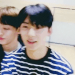 [워너원] 하나씩 모이는거 봐 미친