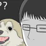 [인피니트] <b>개소리</b>를 하도 듣다보니 이런생각이 든다