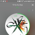 [EXO] 다운다운베이비