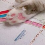 아이러브니키 서명운동 좀 해 줘 ㅜㅜ