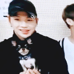 [워너원] 쁘앱 이제 다시보는데